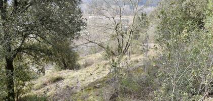 Terrain à Le Vigan en Gard (30) de 2780 m² à vendre au prix de 42000€ - 2