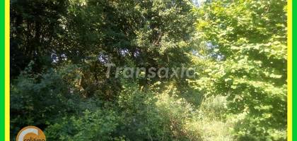 Terrain à Le Blanc en Indre (36) de 0 m² à vendre au prix de 14000€ - 2