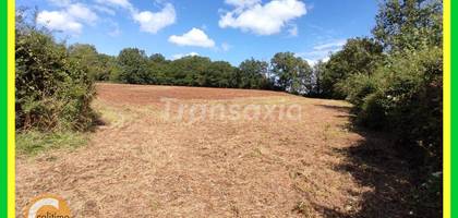 Terrain à Vailly-sur-Sauldre en Cher (18) de 0 m² à vendre au prix de 16500€ - 2