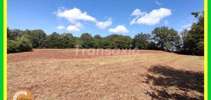 Terrain à Vailly-sur-Sauldre en Cher (18) de 0 m² à vendre au prix de 16500€ - 3