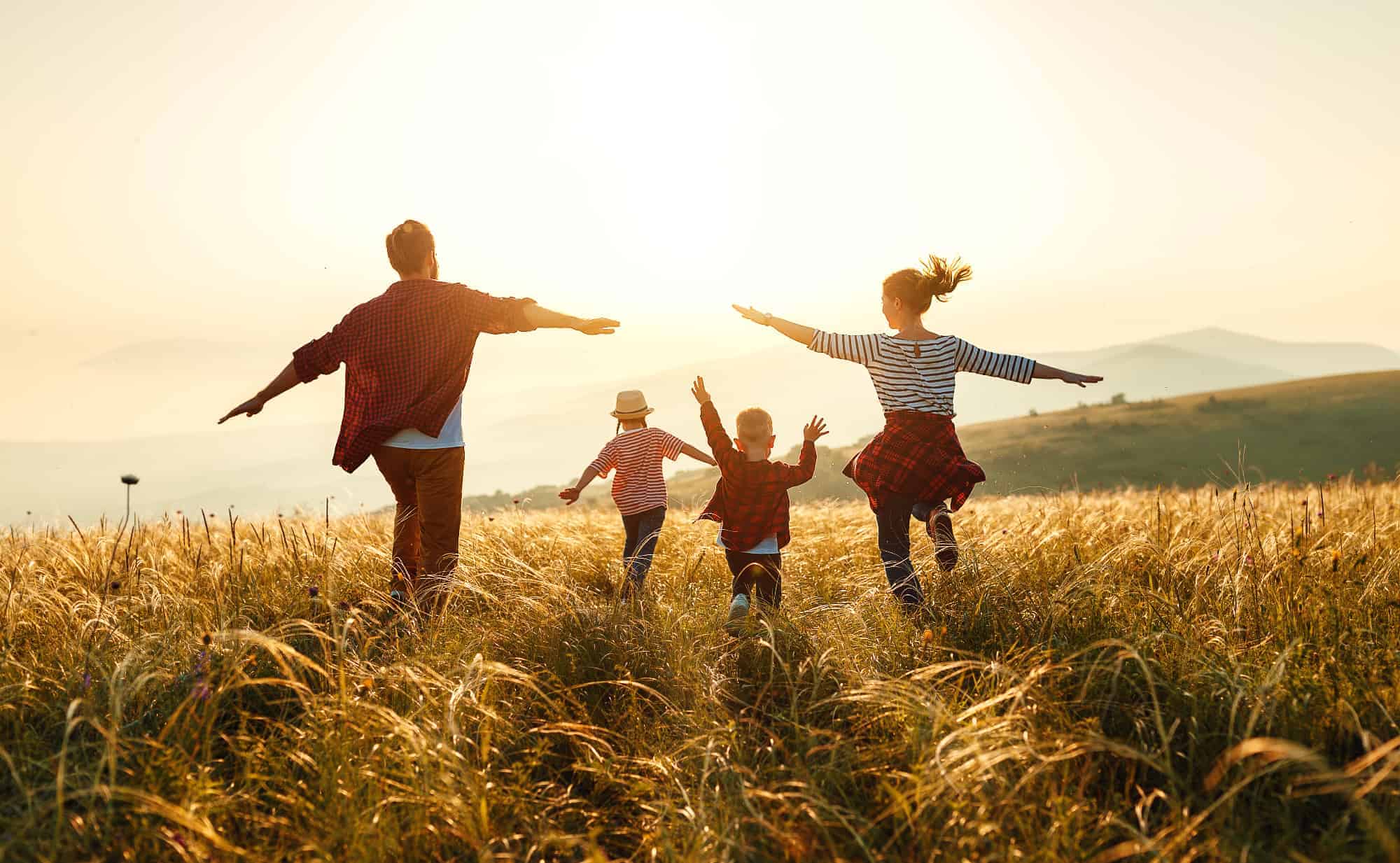 Taux Assurance Emprunteur Prêt Immobilier